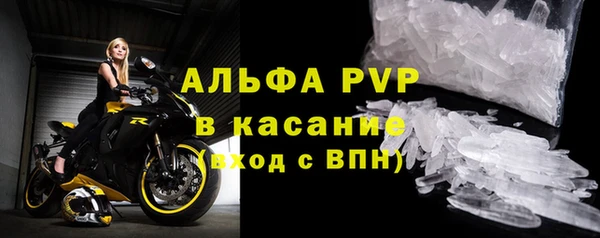 бошки Бородино