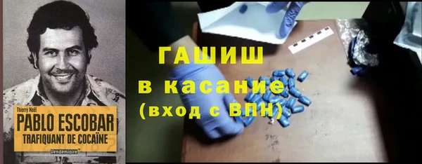 прущие грибы Богданович