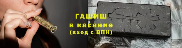 прущие грибы Богданович