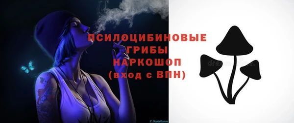 бошки Бородино