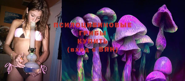 соль ск Бугульма