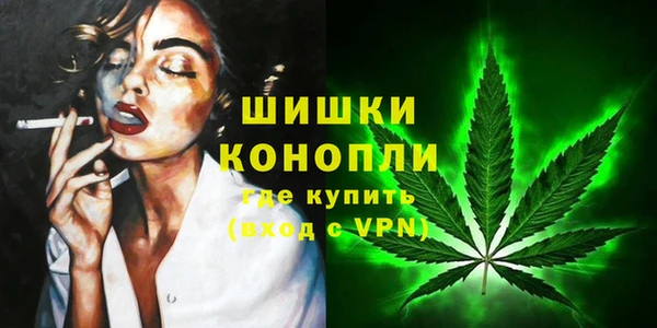 хмурый Богородицк