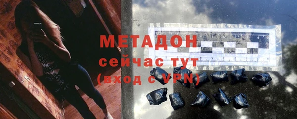 прущие грибы Богданович