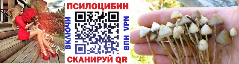 Псилоцибиновые грибы Psilocybe  наркота  Нестеров 